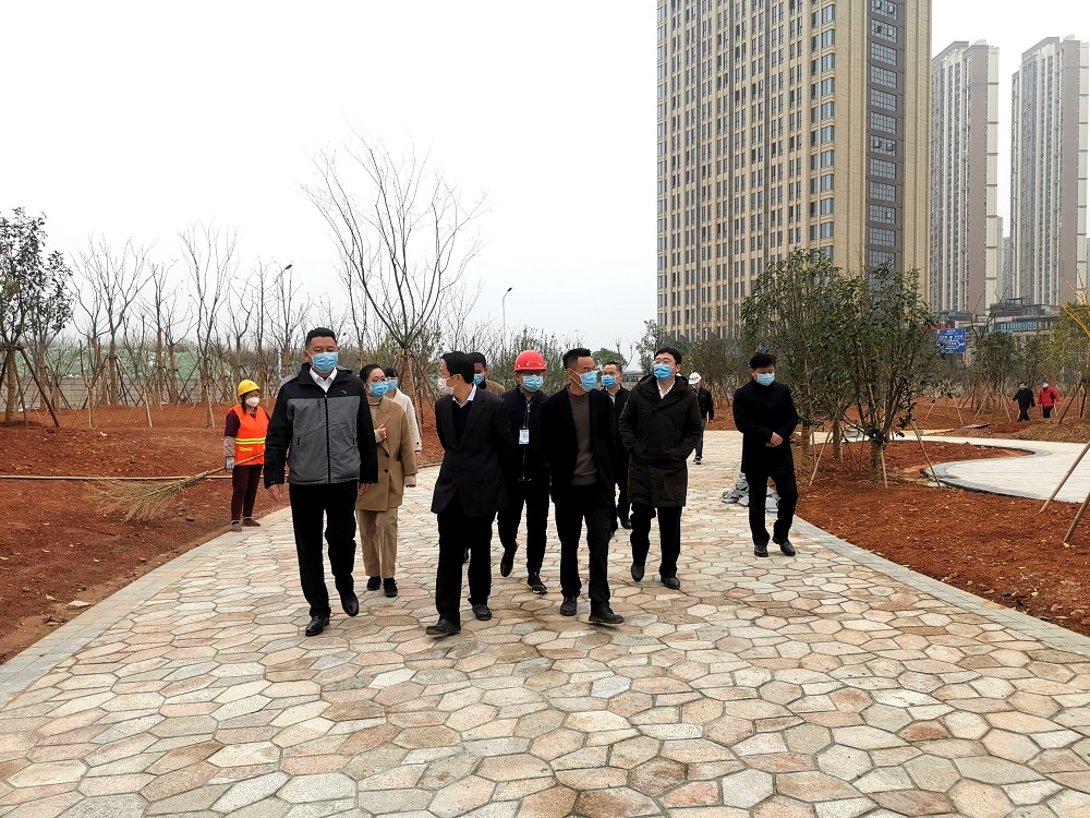 南昌市副市長宋鈾視察朝陽州項目 (2)_看圖王.jpg